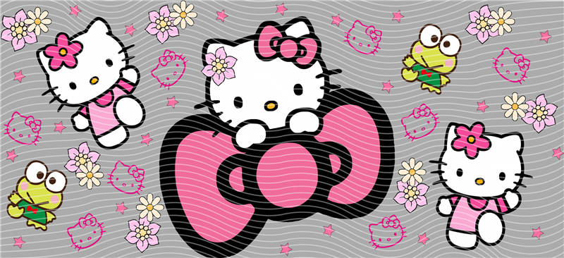 16oz Sanrio-K 245